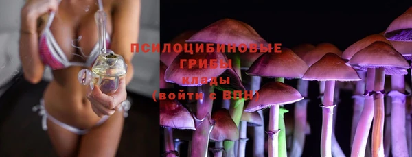 бошки Абдулино