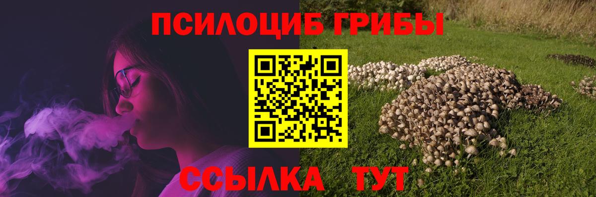 Псилоцибиновые грибы Cubensis  Вход с VPN  Галлюциногенные грибы мухоморы  Саратов 
