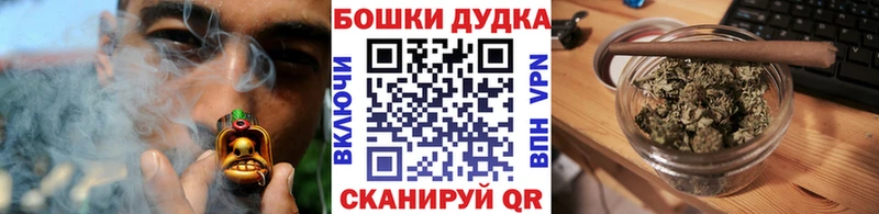 kraken ONION  Саратов  МАРИХУАНА сатива 